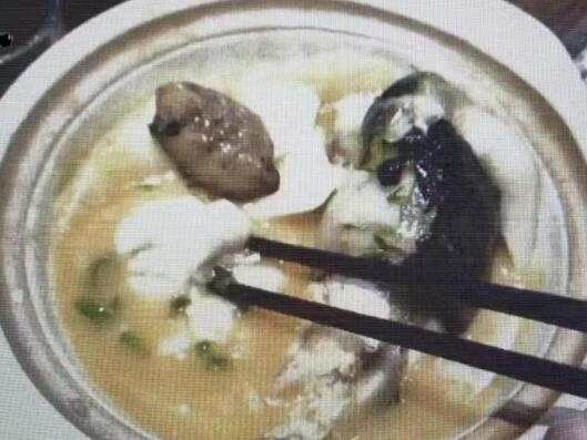 “職業打假人”3天在5家店吃5頓河豚 為什么引爭議？