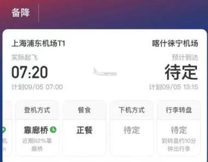 客機飛行時發現老鼠 備降蘭州 實在太嚇人了