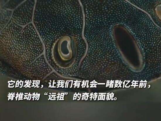 考古發現4億年前人類四肢線索 實在太罕見了