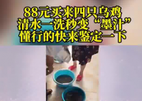 88元網購的4只烏雞洗出一盆黑水 被眼前的情景嚇住了