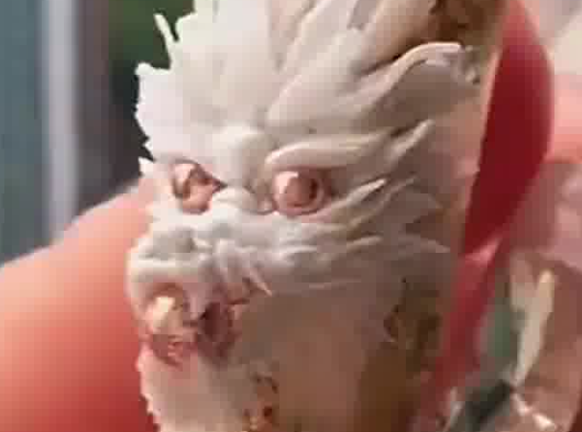 美甲師吐槽去年畫(huà)龍今年盤蛇 究竟是什么樣的？