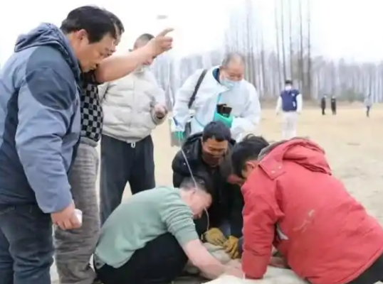 跳江救人的“白龍”馬不幸死亡 到底是怎么死的？