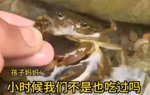 男童生吃蟹腿寄生蟲鉆進心臟 究竟是怎么回事？