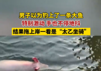男子以為釣到一條大魚結(jié)果是豬 這也太罕見了