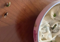 盒馬餛飩疑吃出蟑螂 當地市監局回應 究竟是不是真的？