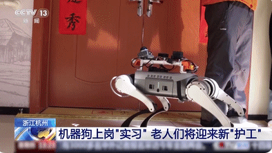 機器狗的技能值已經拉滿了 為什么這么火爆？