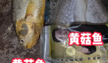 網購黃花魚到手只有包裝是黃的 到底是不是真的？