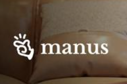第一波用Manus賺錢的人出現了 為什么這么火爆？