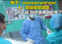 主人帶狗狗做絕育哭聲太慘引圍觀 究竟是怎么回事？
