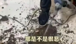 女子吐槽樓上鄰居馬桶正對自家廚房 實在太讓人惡心了