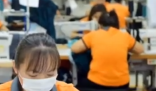 在越南設廠服裝品牌股價普漲 為什么上漲？
