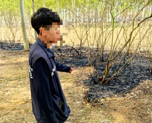 男子點燃楊柳絮引發火情被行拘 事件始末2025最新消息