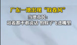 廣東一地蚊子聚集飛舞似龍卷風(fēng) 實(shí)在太罕見了