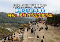 飼養(yǎng)員自制“過(guò)山車”給雞喂食 這也太霸氣了