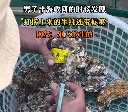男子出海打撈上來的生蠔帶商品標簽 到底是什么情況？