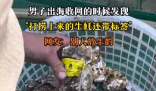 男子出海打撈上來的生蠔帶商品標簽 到底是什么情況？