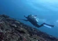 中國女游客為撈相機命喪87米海底 實在太悲劇
