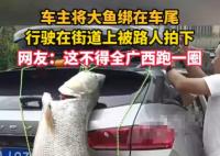車主釣到巨型大魚綁車尾炫耀 這也太大了吧