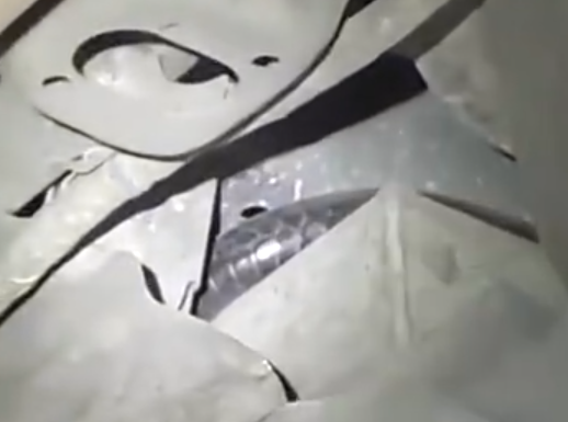 車輛異響發(fā)現(xiàn)2米長眼鏡王蛇 實在太恐怖了
