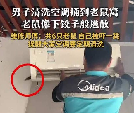 男子洗空調捅鼠窩 老鼠下餃子般逃散 實在太恐怖了