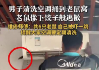 男子洗空調捅鼠窩 老鼠下餃子般逃散 實在太恐怖了