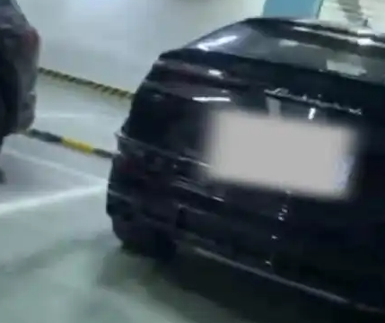 豪車車主賴5塊錢被代駕舉報酒駕 這也虧大了