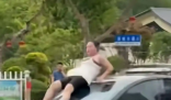 女子當街打砸汽車:系精神病發作 究竟是怎么回事？