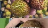 8歲男孩花1萬多網(wǎng)購26箱荔枝 為什么引爭議？