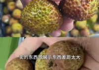 8歲男孩花1萬多網購26箱荔枝 為什么引爭議？