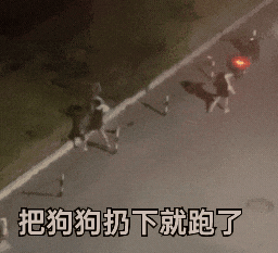 小狗遭主人2次扔棄哀嚎仍被遺棄 實在太讓人心疼