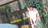 朋友用狗喝水的盆澆花被狗撕咬 事件始末2025最新消息