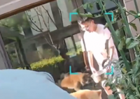 朋友用狗喝水的盆澆花被狗撕咬 事件始末2025最新消息